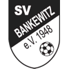Wappen / Logo des Teams SV SW Bankewitz
