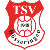 Wappen / Logo des Teams SG Hsseringen/Ger/Bdd