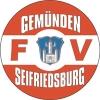 Wappen / Logo des Teams FV Gemnden/Seifriedsburg
