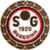 Wappen / Logo des Teams SG Burgsinn