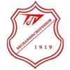 Wappen / Logo des Teams TSV Neckarbischofsh.2 -