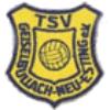 Wappen / Logo des Teams TSV Geiselbullach 2