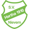 Wappen / Logo des Teams SG Nievern 2