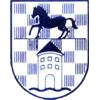 Wappen / Logo des Teams FC Traben-Trarbach