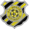 Wappen / Logo des Teams FC Hertha Wiesbach