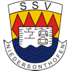Wappen / Logo des Teams SSV Niedersonthofen