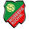 Wappen / Logo des Teams SV Mosberg-Richweiler