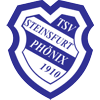 Wappen / Logo des Teams TSV Steinsfurt 2
