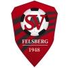 Wappen / Logo des Teams JSG Saargau
