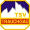 Wappen / Logo des Teams TSV Trauchgau