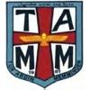Wappen / Logo des Teams Tur Abdin Memmingen 2