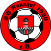 Wappen / Logo des Teams SV Naunhof