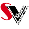 Wappen / Logo des Teams SV Motor Zwickau-Sd