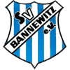 Wappen / Logo des Vereins SV Bannewitz
