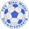 Wappen / Logo des Teams FSV Blau-Wei Schwarzenberg