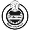 Wappen / Logo des Teams BSV Gelenau 2
