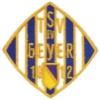 Wappen / Logo des Teams TSV Geyer