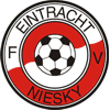Wappen / Logo des Teams FV Eintracht Niesky