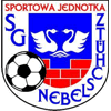 Wappen / Logo des Teams SpG SG Nebelschtz / SV Sankt Marienstern