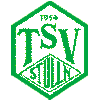 Wappen / Logo des Teams TSV 1954 Stulln
