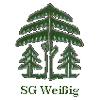 Wappen / Logo des Teams SG Weiig