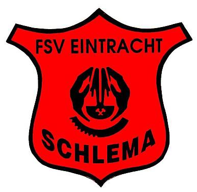 Wappen / Logo des Teams FSV Eintracht Schlema