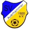 Wappen / Logo des Teams SV Auerhammer