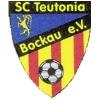 Wappen / Logo des Teams SpG Bockau/Bermsgrn