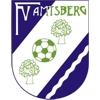 Wappen / Logo des Teams FV Amtsberg 2
