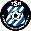 Wappen / Logo des Teams TSG Blau-Wei Grolehna