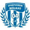 Wappen / Logo des Teams SV Mlkau 04