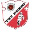 Wappen / Logo des Vereins TSV Penig