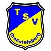 Wappen / Logo des Teams SpG Grosteinberg/Naunhof