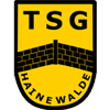 Wappen / Logo des Teams TSG Hainewalde