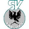 Wappen / Logo des Vereins SV Rabenau