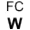 Wappen / Logo des Teams FC Wenigumstadt