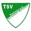 Wappen / Logo des Vereins TSV Hermsdorf/Bernsdorf