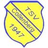 Wappen / Logo des Teams TSV Collenberg
