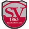 Wappen / Logo des Teams SV 1863 Belgershain E2