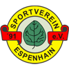 Wappen / Logo des Teams SV Espenhain 91