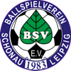 Wappen / Logo des Teams BSV Schnau