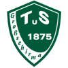 Wappen / Logo des Vereins TuS 1875 Groschirma