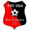 Wappen / Logo des Teams FSV 1924 Bad Schandau
