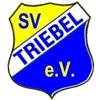 Wappen / Logo des Teams SV Triebel