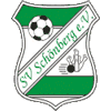 Wappen / Logo des Teams SV Schnberg