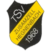 Wappen / Logo des Teams TSV Zusamzell-Hegnenbach