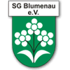 Wappen / Logo des Vereins SpG. SG Blumenau