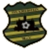 Wappen / Logo des Teams FSV Kriebstein