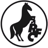Wappen / Logo des Vereins Rossauer FC 97