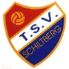 Wappen / Logo des Teams TSV Schiltberg